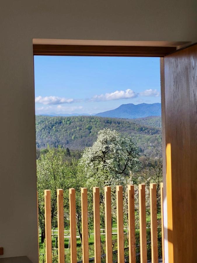 Guest House Domacija Krnc Hrib pri Hinjah Exterior foto